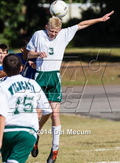 Thumbnail 3 in Mulberry @ McKeel Academy photogallery.