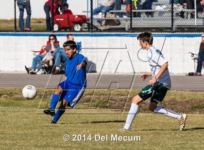 Thumbnail 2 in Mulberry @ McKeel Academy photogallery.