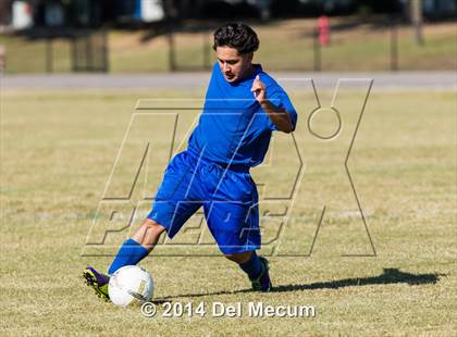 Thumbnail 1 in Mulberry @ McKeel Academy photogallery.