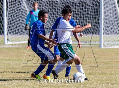 Thumbnail 2 in Mulberry @ McKeel Academy photogallery.