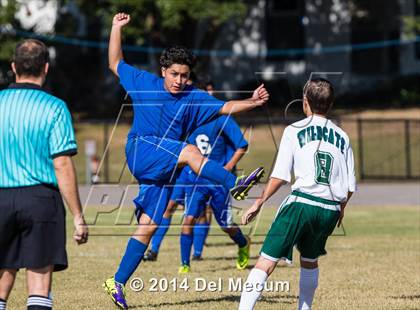 Thumbnail 2 in Mulberry @ McKeel Academy photogallery.