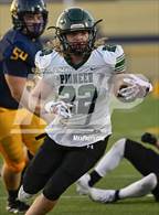 Photo from the gallery "Pioneer @ Kenmore East"