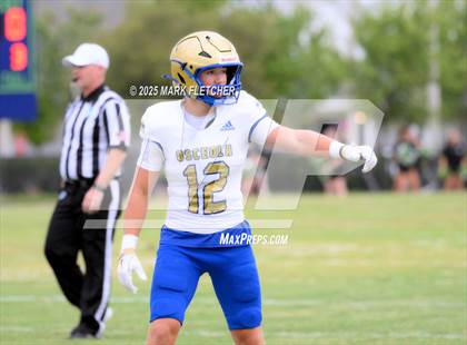 Thumbnail 1 in Osceola @ Windermere (Windermere Jamboree) photogallery.