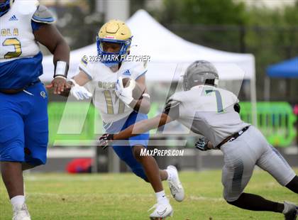 Thumbnail 1 in Osceola @ Windermere (Windermere Jamboree) photogallery.