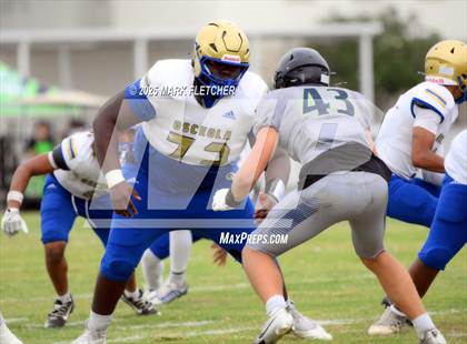 Thumbnail 2 in Osceola @ Windermere (Windermere Jamboree) photogallery.