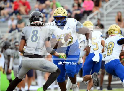 Thumbnail 1 in Osceola @ Windermere (Windermere Jamboree) photogallery.