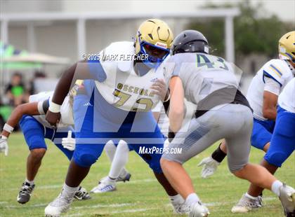 Thumbnail 1 in Osceola @ Windermere (Windermere Jamboree) photogallery.