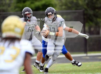 Thumbnail 3 in Osceola @ Windermere (Windermere Jamboree) photogallery.