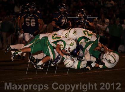 Thumbnail 2 in St. Joseph @ Righetti photogallery.