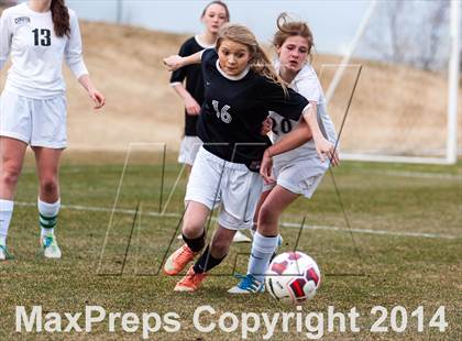 Thumbnail 3 in Pomona @ Conifer photogallery.