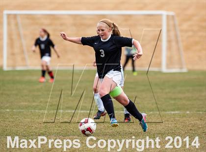 Thumbnail 2 in Pomona @ Conifer photogallery.