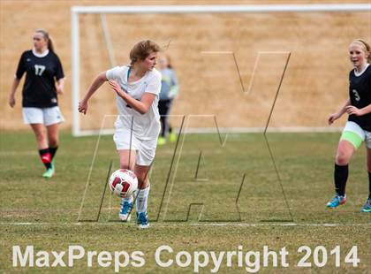Thumbnail 2 in Pomona @ Conifer photogallery.