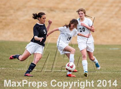 Thumbnail 3 in Pomona @ Conifer photogallery.