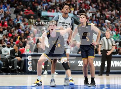 Thumbnail 3 in Prolific Prep of Napa Christian vs. St. Mark's (Thanksgiving Hoopfest) photogallery.