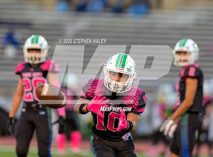Thumbnail 1 in Chantilly @ South Lakes photogallery.