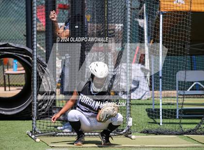 Thumbnail 1 in Beckville vs. Forsan (UIL 2A Softball Semifinal) photogallery.