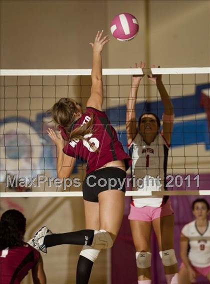 Thumbnail 3 in Modesto @ Beyer photogallery.