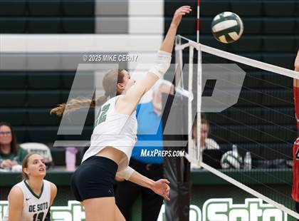 Thumbnail 3 in Lansing @ De Soto photogallery.