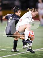 Photo from the gallery "Homestead @ Mountain View"