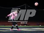 Photo from the gallery "Homestead @ Mountain View"