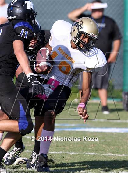 Thumbnail 1 in McAuliffe vs. Windward photogallery.