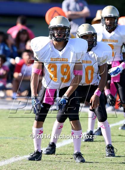 Thumbnail 1 in McAuliffe vs. Windward photogallery.