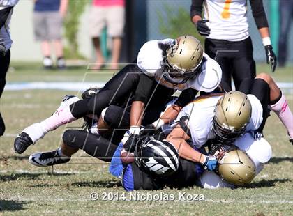 Thumbnail 2 in McAuliffe vs. Windward photogallery.