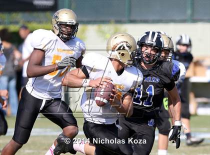Thumbnail 1 in McAuliffe vs. Windward photogallery.