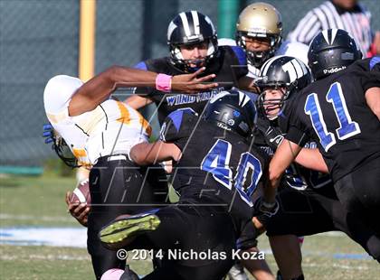 Thumbnail 2 in McAuliffe vs. Windward photogallery.