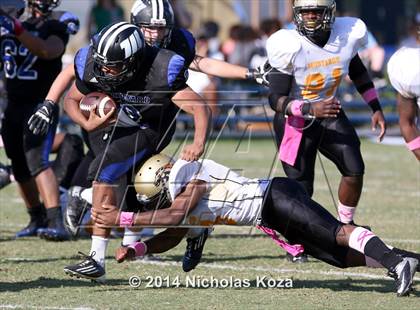 Thumbnail 3 in McAuliffe vs. Windward photogallery.