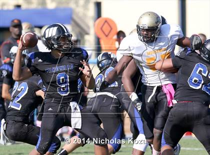 Thumbnail 1 in McAuliffe vs. Windward photogallery.