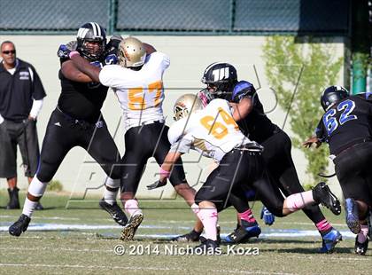 Thumbnail 1 in McAuliffe vs. Windward photogallery.