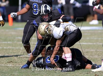 Thumbnail 1 in McAuliffe vs. Windward photogallery.