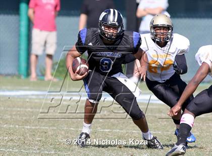 Thumbnail 1 in McAuliffe vs. Windward photogallery.