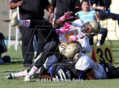 Thumbnail 1 in McAuliffe vs. Windward photogallery.