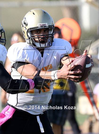 Thumbnail 1 in McAuliffe vs. Windward photogallery.