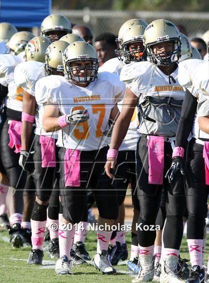 Thumbnail 2 in McAuliffe vs. Windward photogallery.