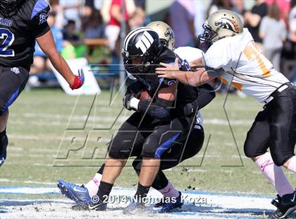 Thumbnail 1 in McAuliffe vs. Windward photogallery.