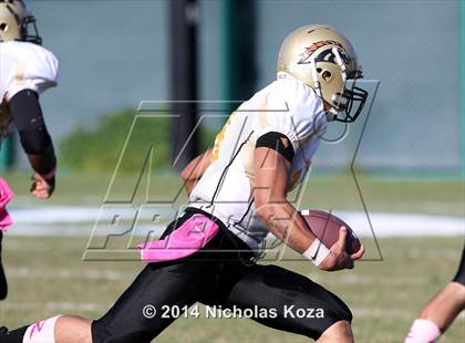 Thumbnail 1 in McAuliffe vs. Windward photogallery.