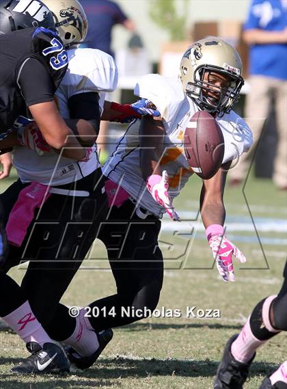 Thumbnail 2 in McAuliffe vs. Windward photogallery.