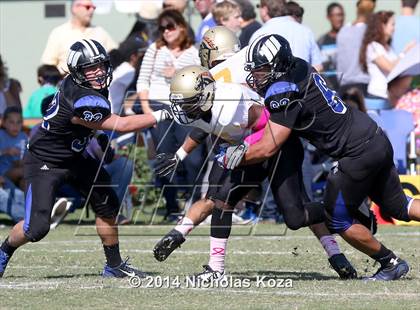 Thumbnail 3 in McAuliffe vs. Windward photogallery.