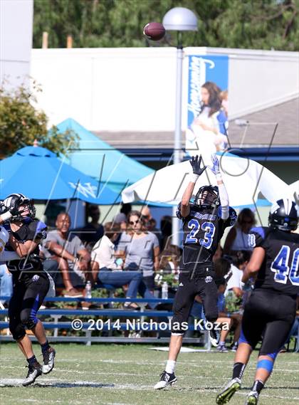 Thumbnail 2 in McAuliffe vs. Windward photogallery.