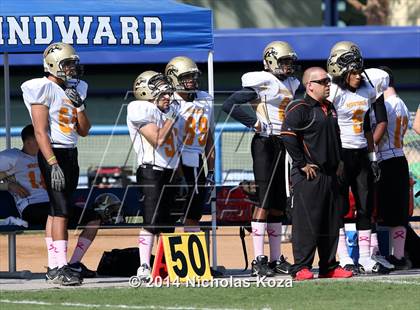 Thumbnail 3 in McAuliffe vs. Windward photogallery.