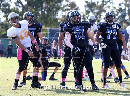 Thumbnail 1 in McAuliffe vs. Windward photogallery.