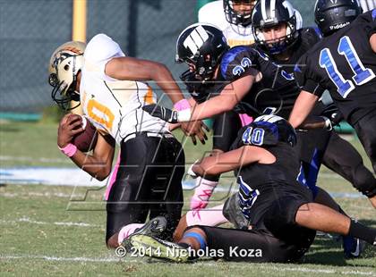 Thumbnail 3 in McAuliffe vs. Windward photogallery.