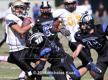 Thumbnail 2 in McAuliffe vs. Windward photogallery.