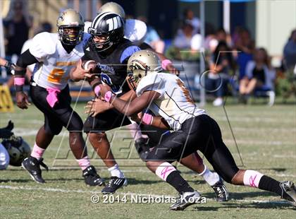 Thumbnail 1 in McAuliffe vs. Windward photogallery.