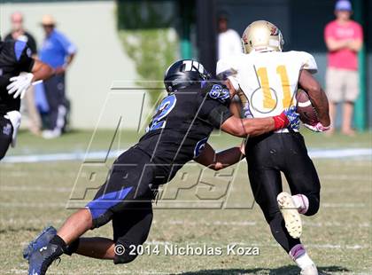 Thumbnail 1 in McAuliffe vs. Windward photogallery.