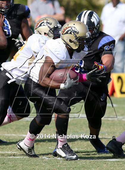 Thumbnail 1 in McAuliffe vs. Windward photogallery.