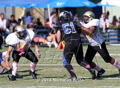 Thumbnail 1 in McAuliffe vs. Windward photogallery.